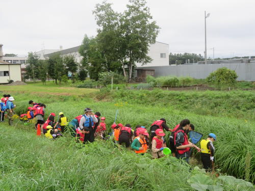 20230912川の学習1.JPG